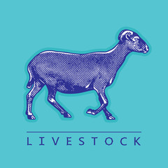 Goat - monochrome vector illustration in turquoise and purple colors. Cute farm animal image in profile in engraving style. Portrait side view, graphic design element for logo or template.
