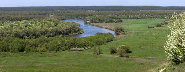 A flowering shrub in the background of the Don river valley in the central part of Russia. Panoramic view from the top on a spring meadow with grass and pond.