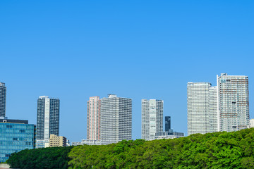 Fototapeta na wymiar ベイエリアのタワーマンション High-rise condominium in Tokyo