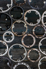 Alte Zahnkränze an einem Holzzaun