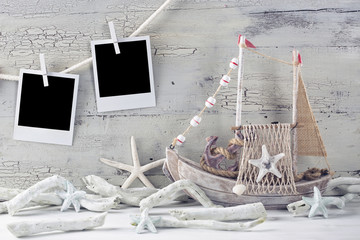 Marine life decoration