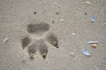 Emprunte sable