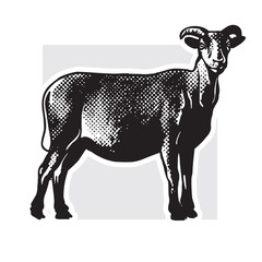 Goat - realistic black and white vector illustration. Cute farm animal image in profile in engraving style. Portrait side view, graphic design element for logo or template.