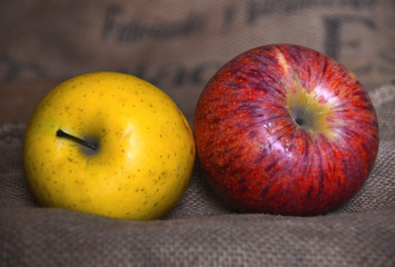 Two ecological and healthy apples on top of a raffia fabric. Ecological and healthy products. Yellow and red fruit.