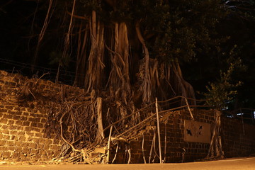 Port Louis by might (Mauritius)