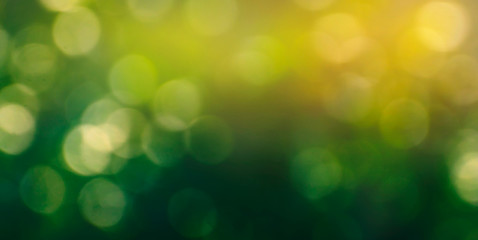 Obraz premium Bokeh blur green background