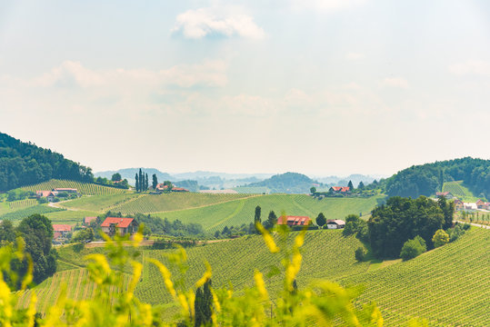 Austria Vineyards vine street south Styria travel spot