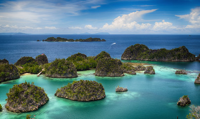 Pianemo islands at the Raja Ampat archipelago (Indonesia)