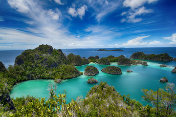 Pianemo islands at the Raja Ampat archipelago (Indonesia)