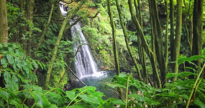 Salto do Prego waterfall lost in the rainforest, Sao Miguel Island, Azores, Portugal

