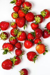 Fototapeta na wymiar Frische rote Erdbeeren aus biologischem Anbau auf weißem Untergrund