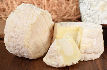 Goat milk cheese closed up selective focus