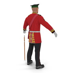 Irish Guard Sergeant on white. 3D illustration