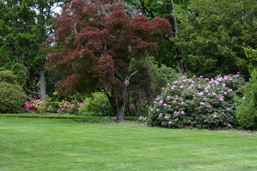 gardens in spring
