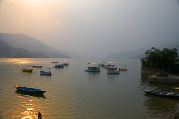 Boats on Phewa Lake A