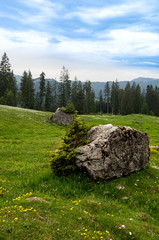 Zwei Steine in einer Alpenlandschaft