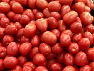 Fresh red tomatoes favored for its flavor.