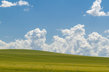 Landscape with green field and clouds in blue sky
