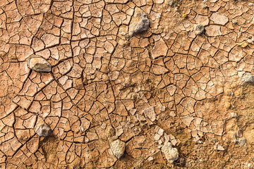 Dry and cracked ground as brown background