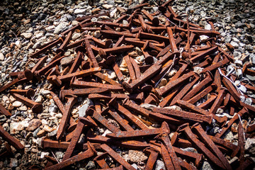 Cluster of railroad nail spikes lay on gravel rocks.