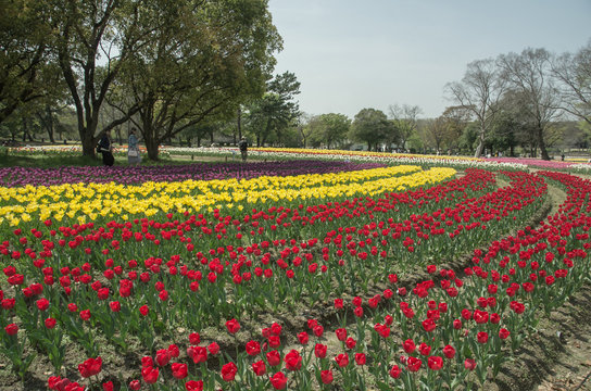 1 116 Best 万博記念公園 Images Stock Photos Vectors Adobe Stock 1 116 Best 万博記念公園 Images Stock Photos Vectors Adobe Stock
