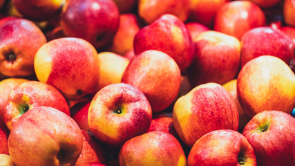Fresh Organic Apples Pile