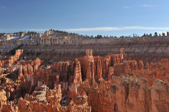 
USA. Bryce Canyon on a sunny spring day
