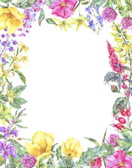 Watercolor summer medicinal floral vertical frame, Wildflowers plant