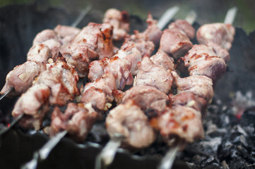 Traditional shish kebab on hot coals