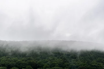 Fotobehang Forested mountain slope in low lying cloud with the evergreen conifers shrouded in mist © Stephen Davies