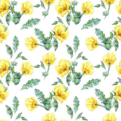 Watercolor summer seamless pattern of Horned Poppy yellow flowers