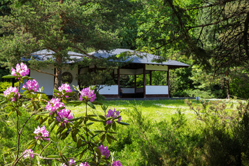 traditional Japanese arbor