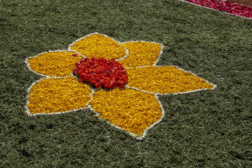 Detalle de una de las alfombras del Corpus Christi de Ponteareas, Galicia