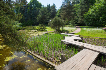 Fototapeta na wymiar pond bridges in Japanese gardens