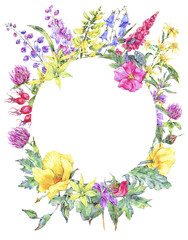 Watercolor summer medicinal floral round frame, Wildflowers plant