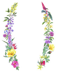 Watercolor summer medicinal floral wreath, Wildflowers plant
