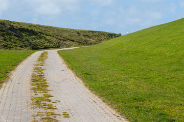 Radweg zwischen Binnendeich und Außendeich
