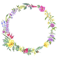 Fototapeta na wymiar Watercolor summer medicinal floral wreath, Wildflowers plant