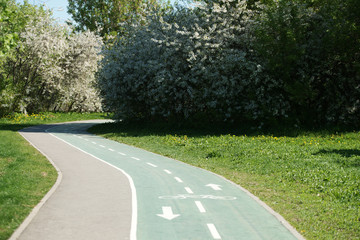 An empty bicycle path in the park