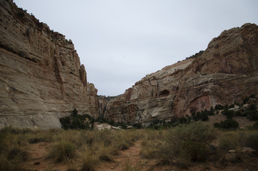 Fototapeta premium Parc aux Etats Unis