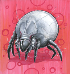 dust tick on a pink background