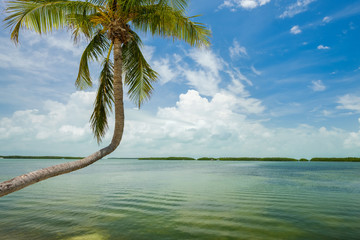 Scenic Florida Keys