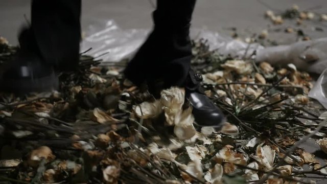 Girl is trampling the roses