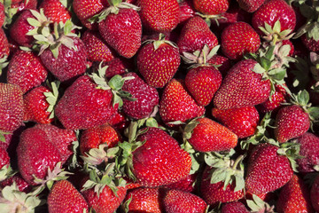 Ripe red strawberry on the market, background. Useful berries from the garden, growing at home.View from above
