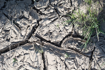 Dry cracked earth.