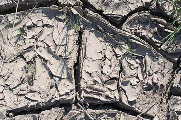 Dry cracked earth.