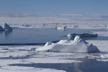ice field and many small icebergs in the strait near the Anatrctic peninsula on a spring day