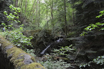 Birnham Glen, Perthshire, Scotland