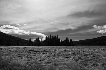 Black and white landscape of a meadow with mountains and trees in silhouette in the background at Colorado Rocky Mountain National Park.