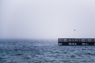 View a single bird flying over part of a dock in the Long Island, New York's Great South Bay on a cloudy morning.